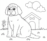 Chien de race Goldendoodle - coloriage n° 1008