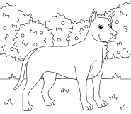 Dogue allemand - coloriage n° 1009