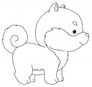 Shiba Inu - coloriage n° 1023