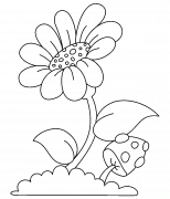 Une fleur et un champignon - coloriage n° 1052