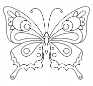 Joli papillon - coloriage n° 1056