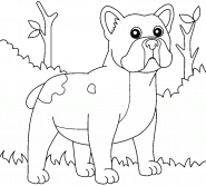 Bulldog Français - coloriage n° 1185