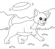 Chihuahua jouant au frisbee - coloriage n° 1186