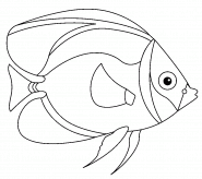 Poisson exotique bleu et jaune - coloriage n° 1264