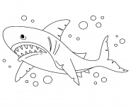 Requin en colère - coloriage n° 1377