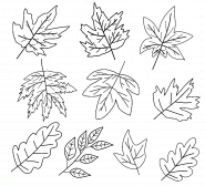 Feuilles aux couleurs automnales - coloriage n° 1436