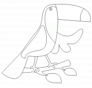 Toucan - coloriage n° 168