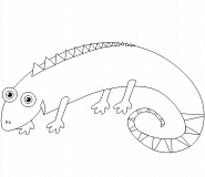 Petit caméléon - coloriage n° 339