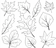 Feuilles d'automne - coloriage n° 366