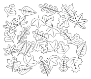 Feuilles mortes en automne - coloriage n° 616