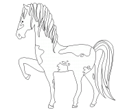 Cheval Pinto à la robe tachetée - coloriage n° 647