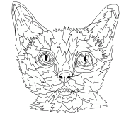 Chat coloré (pop art) - coloriage n° 731