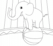 Éléphant de cirque en équilibre sur un ballon  - coloriage n° 853