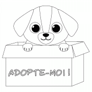 Adopte-moi (petit chien dans une boîte en carton) - coloriage n° 871