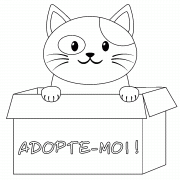Adopte-moi (chat dans une boîte en carton) - coloriage n° 872