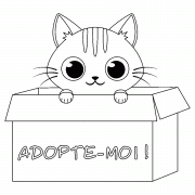 Adopte ce chaton trop mignon !  - coloriage n° 873