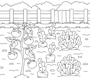 Légumes poussant dans le jardin potager - coloriage n° 874