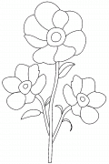 Jolies fleurs (Potentilles orangées) - coloriage n° 953
