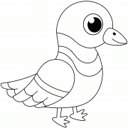 Pigeon - coloriage n° 989