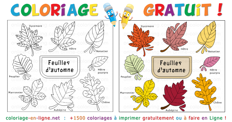 Coloriage Feuille de Chene en automne